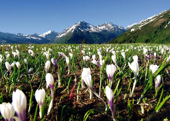 Haus Antonia בית הארחה