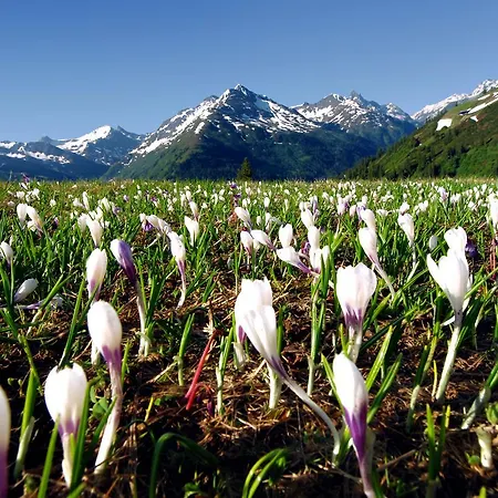 Haus Antonia Penzion